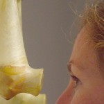 looking inside chronology of awareness